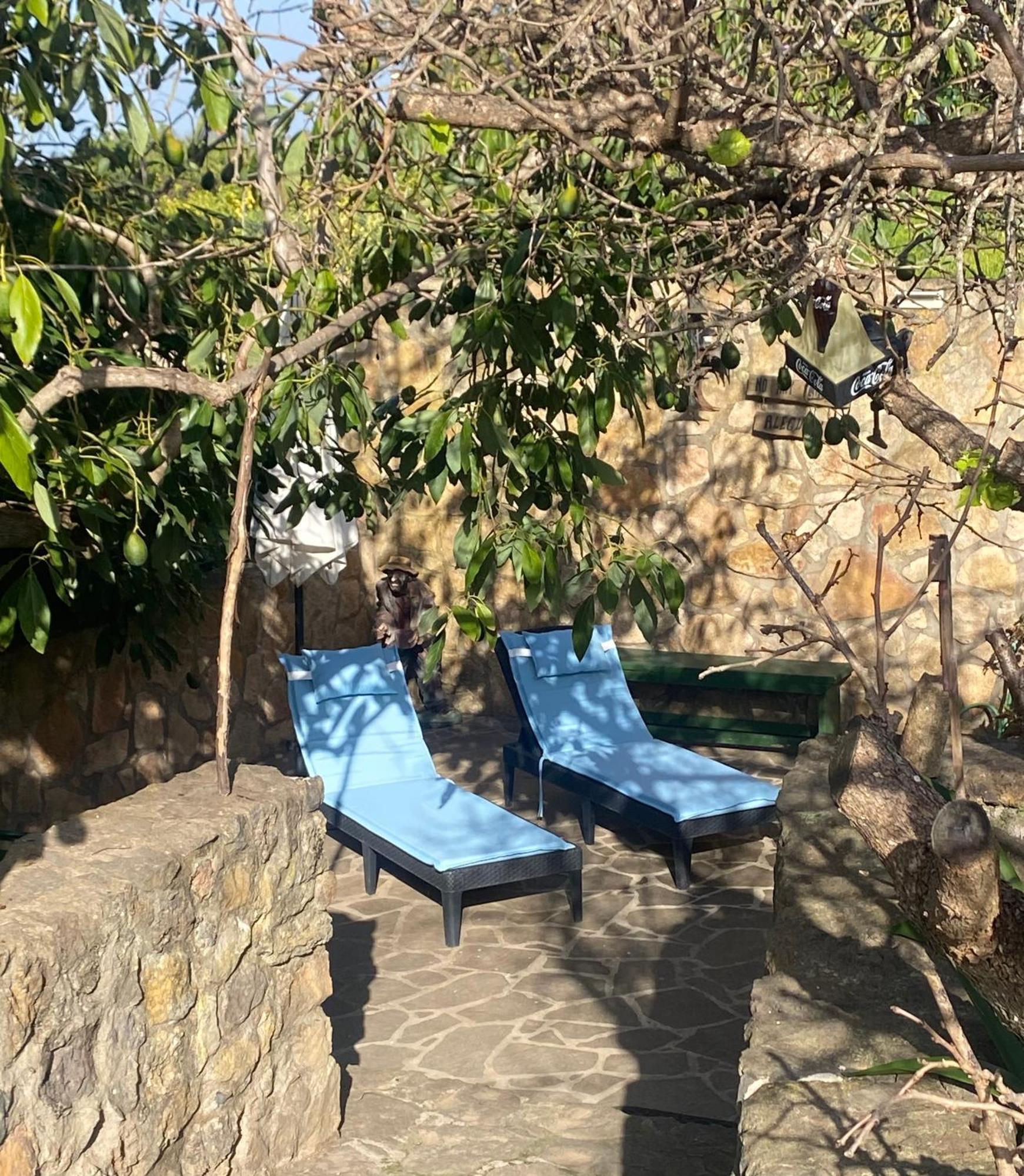 Rural House To Take A Break, La Serreria 25 - Private Garden Tacoronte Dış mekan fotoğraf